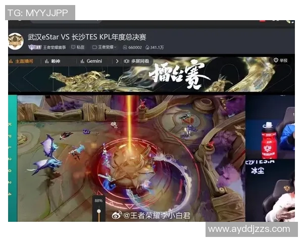 王者荣耀赛事中TES团队协作表现卓越创下新高引发热议