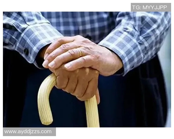 陈敏畅谈王者荣耀发展历程与未来展望的深度专访回顾